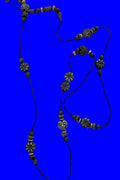 Beautiful necklace
